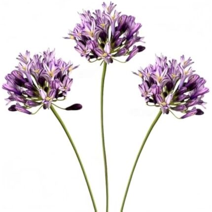 41vgzzo4n6l. ac us800 .jpg