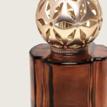 41vwhuoxkkl. ac us800 .jpg