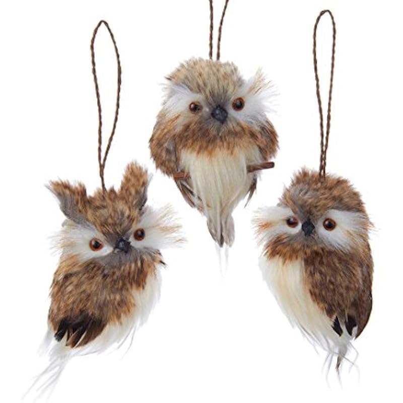 41vyibewsl. ac us800 .jpg