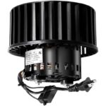 41xy4b39lll. ac us800 .jpg