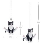 41xt mvd9fl. ac us800 .jpg