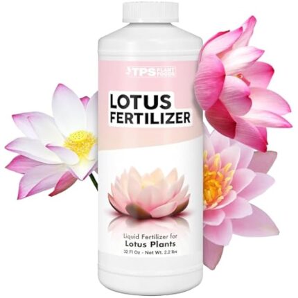 41yymwhdaol. ac us800 .jpg