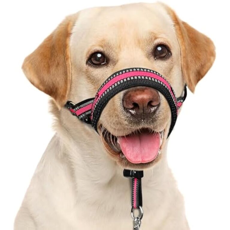 41zd6uo9pbl. ac us800 .jpg