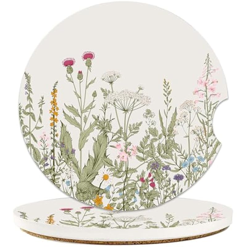 51 0xcioril. ac us800 2.jpg