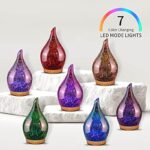 51 g7hpyoyl. ac us800 .jpg