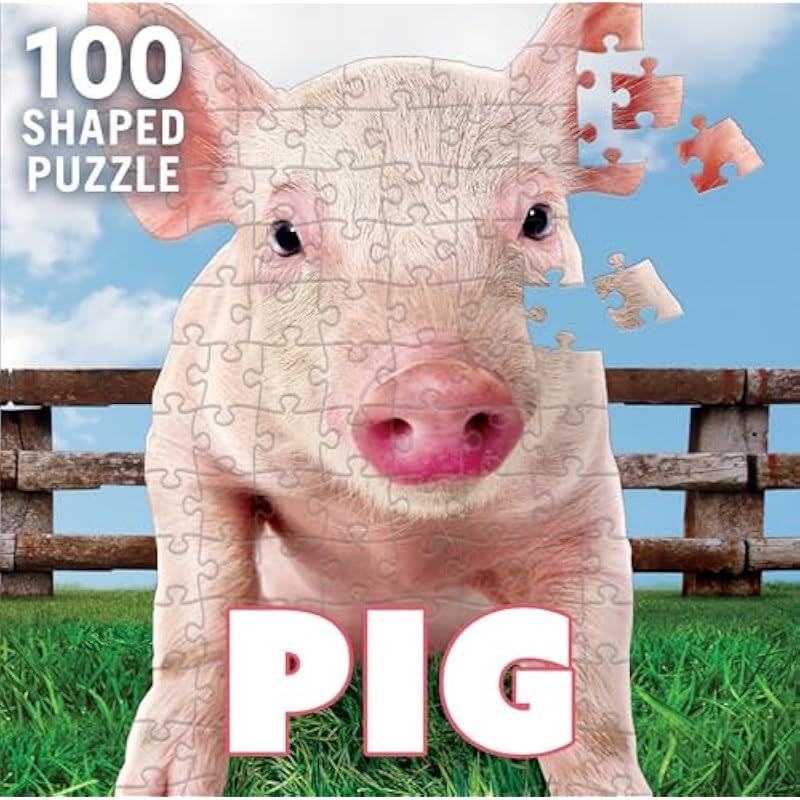 510gi85fxvl. ac us800 .jpg