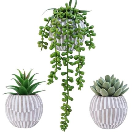 510cppojpol. ac us800 .jpg