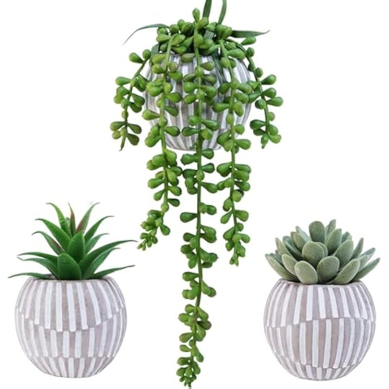 510cppojpol. ac us800 .jpg