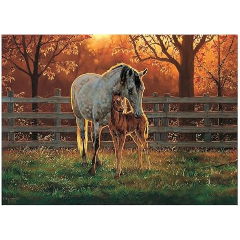 512smg6fral. ac us800 .jpg