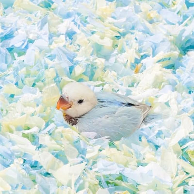 512gmckzonl. ac us800 .jpg