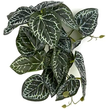 512xitancbl. ac us800 .jpg