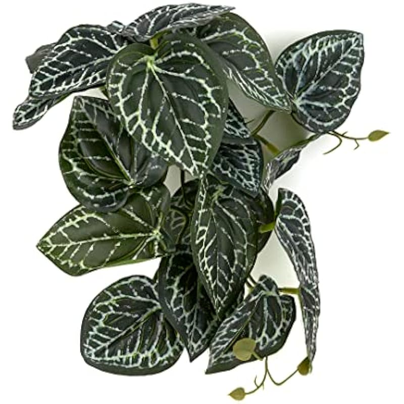 512xitancbl. ac us800 .jpg