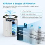 514qgftnml. ac us800 .jpg