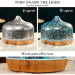 514zinmnfzl. ac us800 .jpg