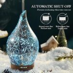 515xyyliywl. ac us800 .jpg