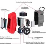 515da5aw0tl. ac us800 .jpg