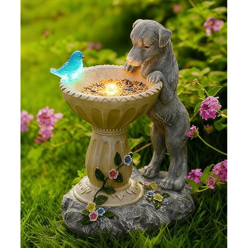 515yi6nztl. ac us800 .jpg