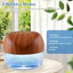 5168f5gv1gl. ac us800 .jpg