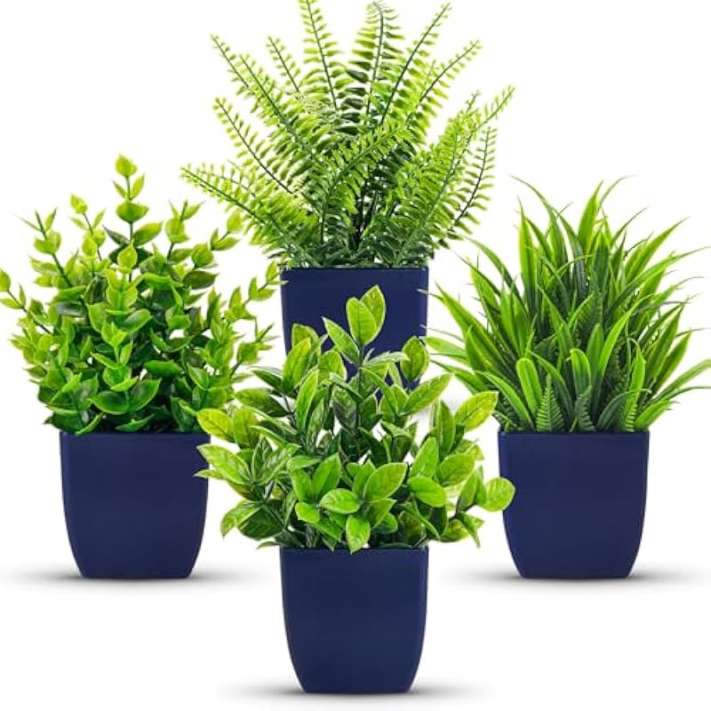 516p7sdrrvl. ac us800 .jpg