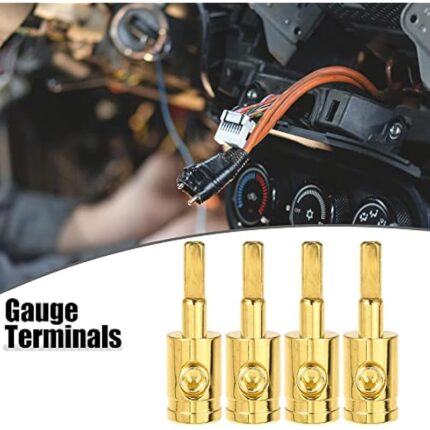 5177oidldl. ac us800 .jpg