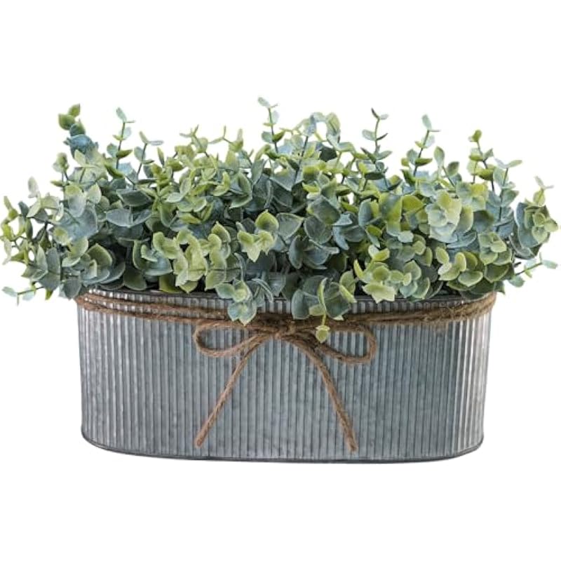 517e3oqdk4l. ac us800 .jpg