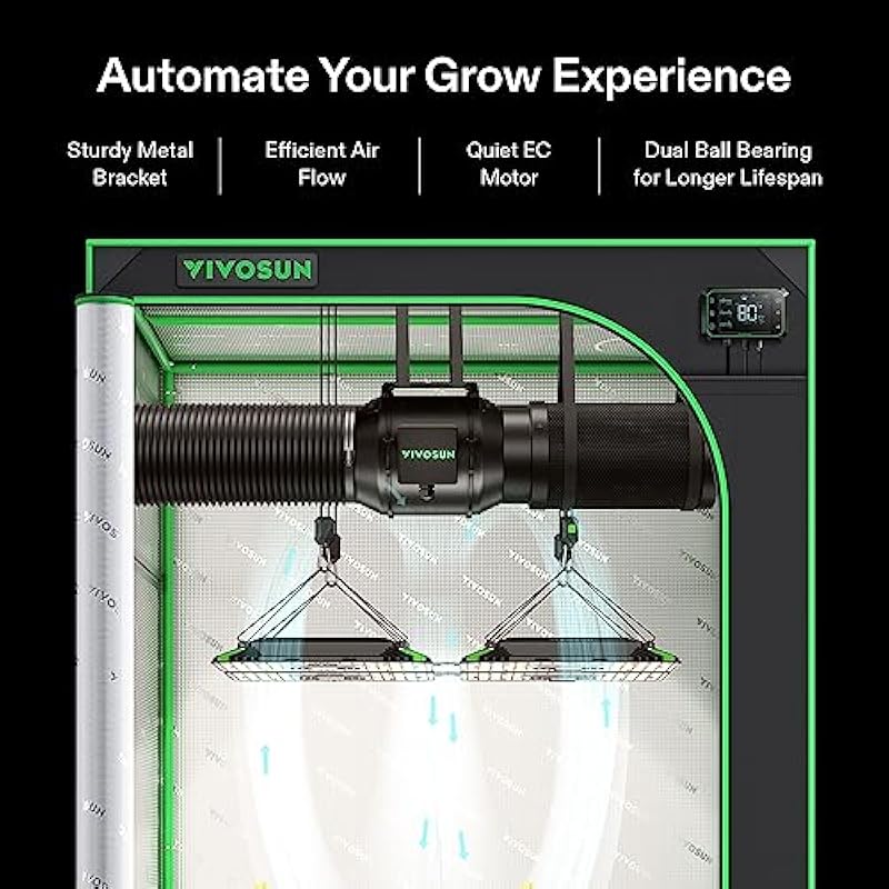 517m0upfpbl. ac us800 .jpg