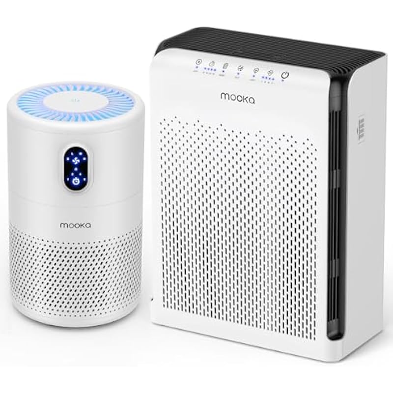 519aemysg3l. ac us800 .jpg