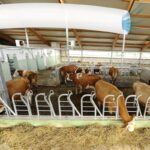 51a9gqb07nl. ac us800 .jpg