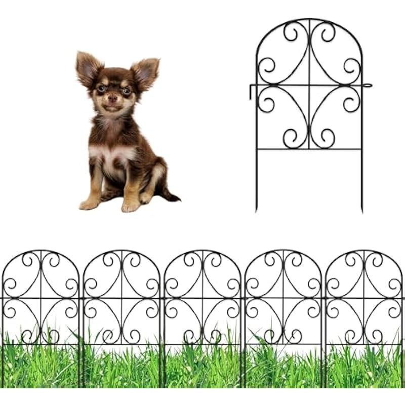 51ahavo6sbl. ac us800 .jpg