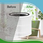 51aljuql6jl. ac us800 .jpg