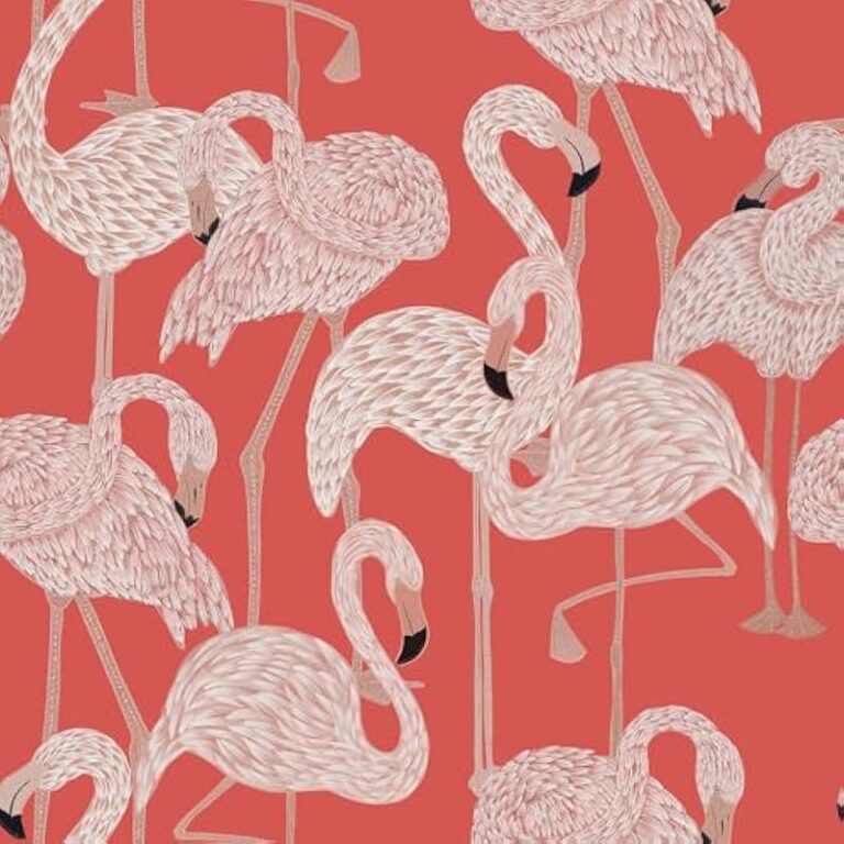 51b8b3hf2ml. ac us800 .jpg