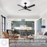 51bvtktpiql. ac us800 .jpg