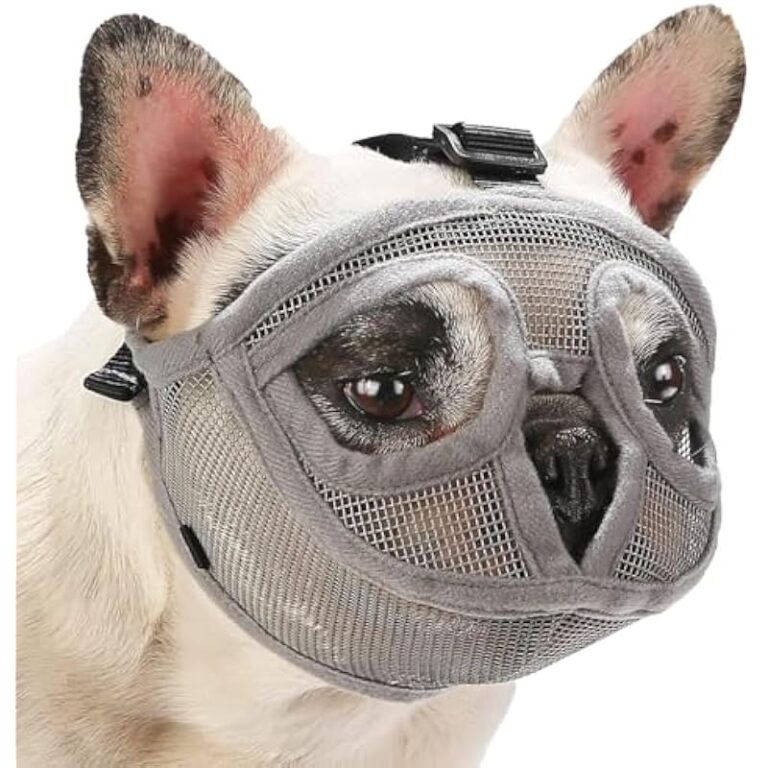 51c9ttze7yl. ac us800 .jpg