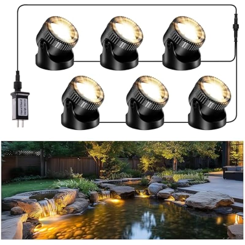 51d4ljylfl. ac us800 .jpg