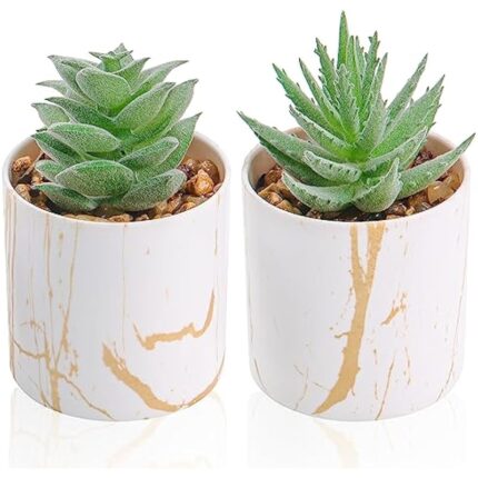 51d6wuazyrl. ac us800 .jpg