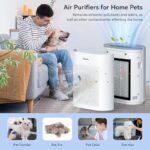 51deiqdy vl. ac us800 .jpg