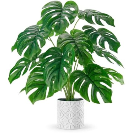 51elkemgul. ac us800 .jpg