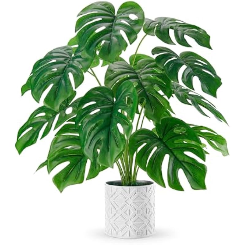 51elkemgul. ac us800 .jpg