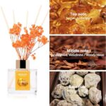 51eih2luq2l. ac us800 .jpg