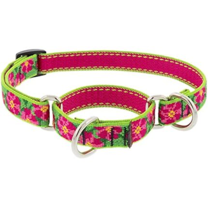 51fhrsc1cgl. ac us800 .jpg