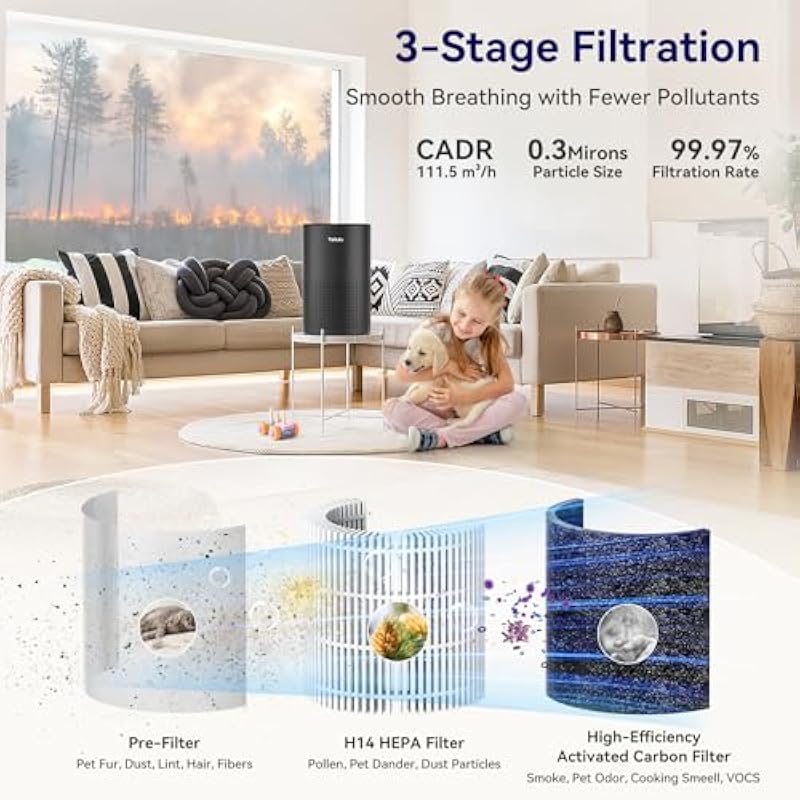 51hdxjdcjel. ac us800 .jpg