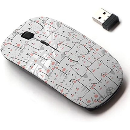 51iddvb4k5s. ac us800 .jpg