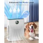 51ioft6g gl. ac us800 .jpg