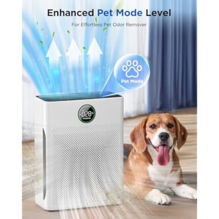 51ioft6g gl. ac us800 .jpg