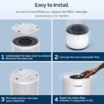 51j9xdpqnml. ac us800 .jpg