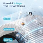 51jjpwje1ll. ac us800 .jpg