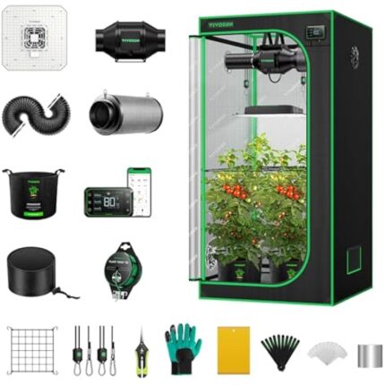 51klqoitool. ac us800 .jpg