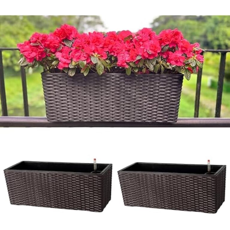 51lci3ugvvl. ac us800 .jpg