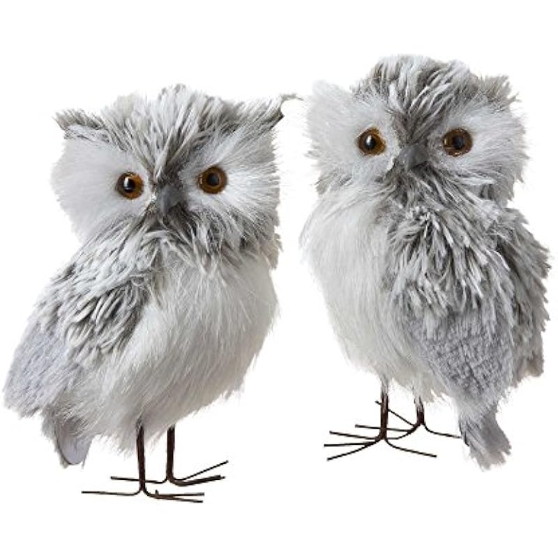 51n5mwd9dgl. ac us800 .jpg