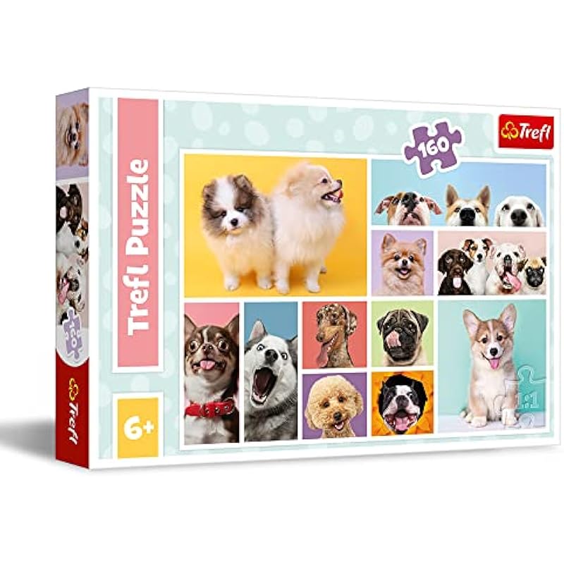 51nxizrgpul. ac us800 .jpg